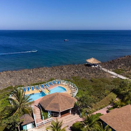 Seagrape Plantation Resort & Dive Center West End Buitenkant foto
