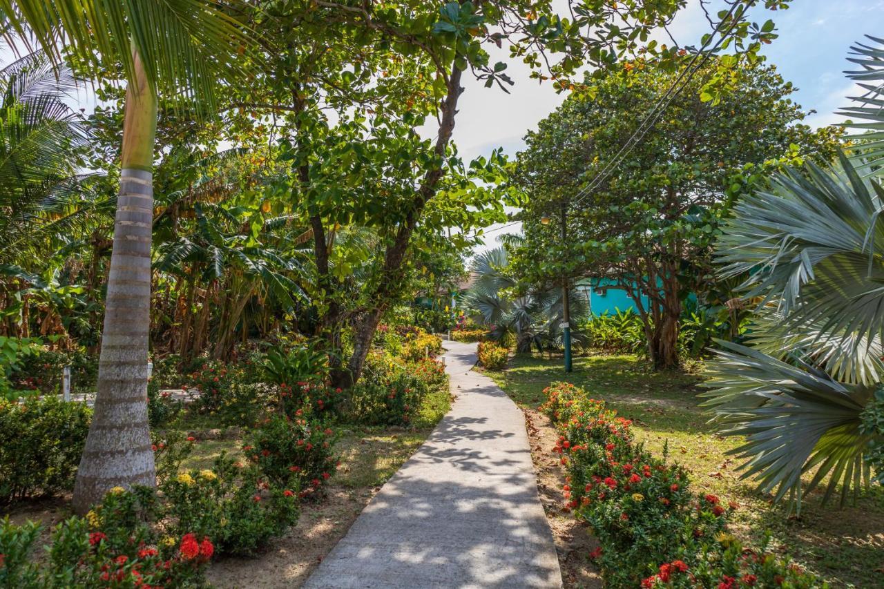 Seagrape Plantation Resort & Dive Center West End Buitenkant foto