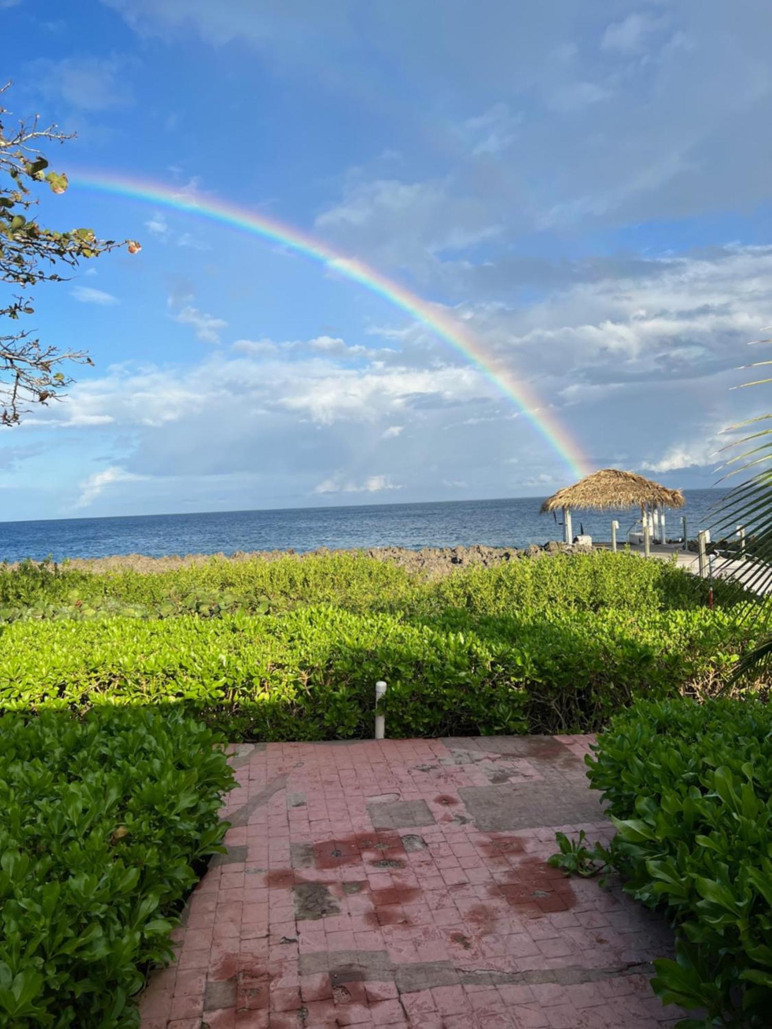Seagrape Plantation Resort & Dive Center West End Buitenkant foto