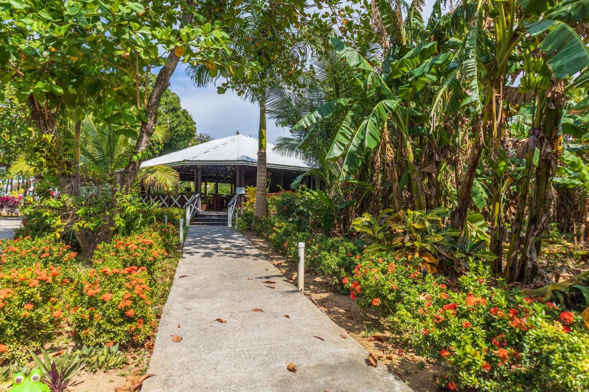 Seagrape Plantation Resort & Dive Center West End Buitenkant foto
