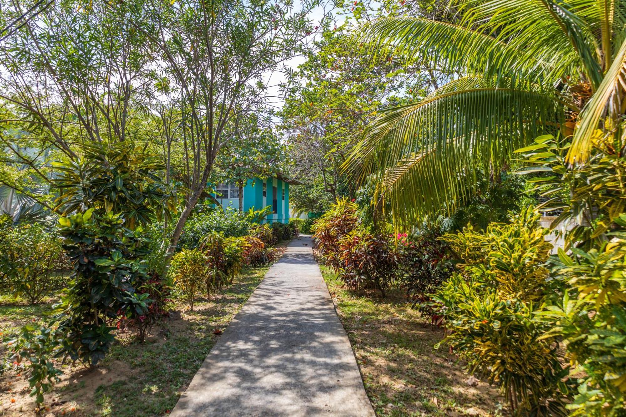Seagrape Plantation Resort & Dive Center West End Buitenkant foto