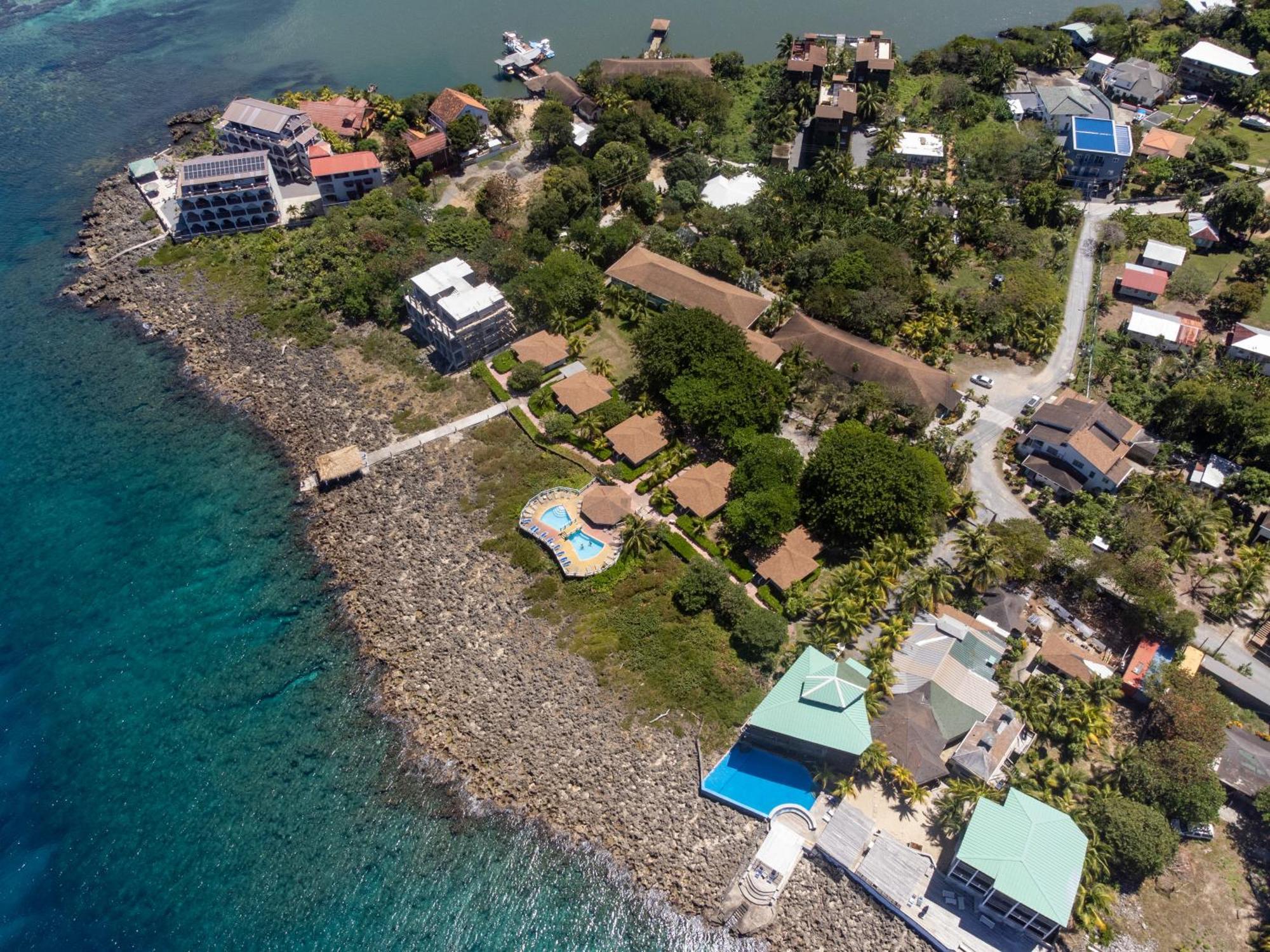 Seagrape Plantation Resort & Dive Center West End Buitenkant foto