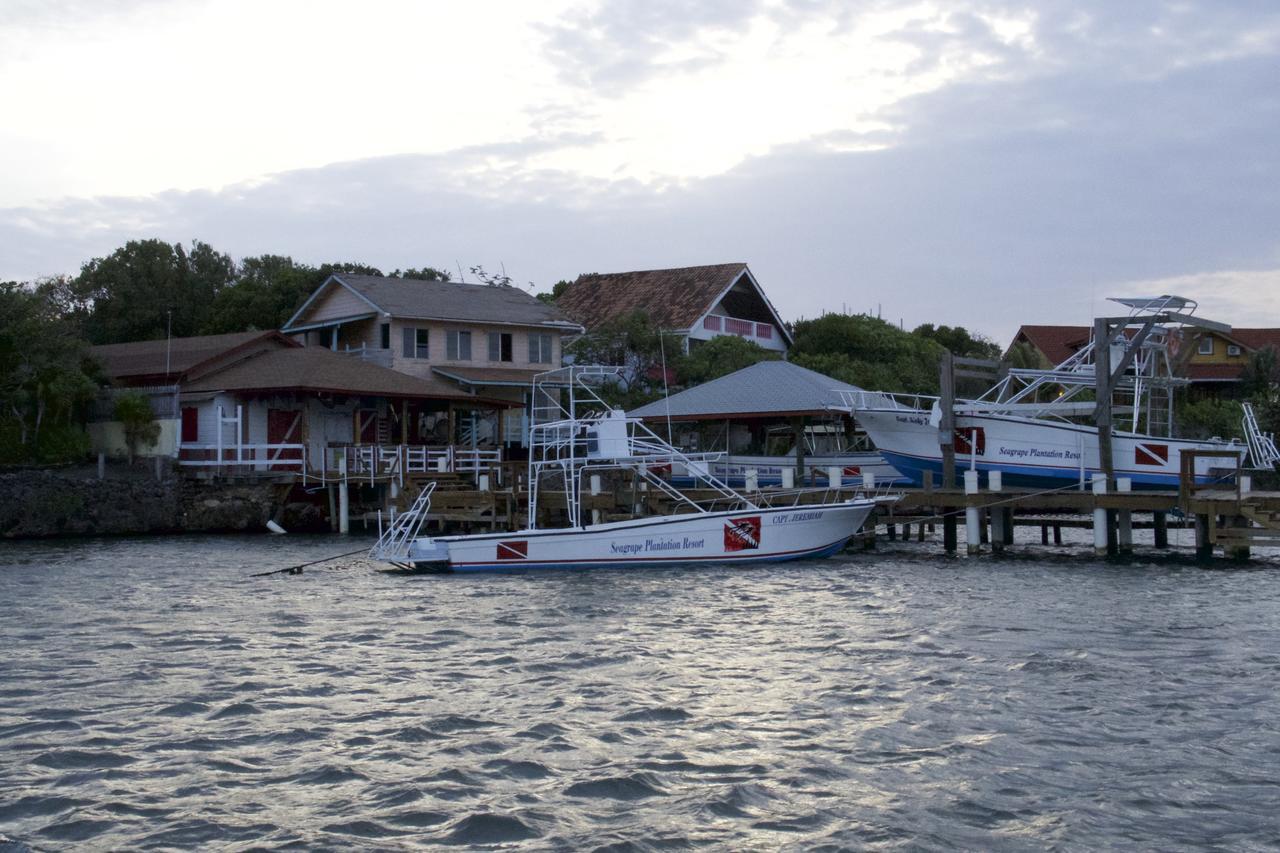 Seagrape Plantation Resort & Dive Center West End Buitenkant foto