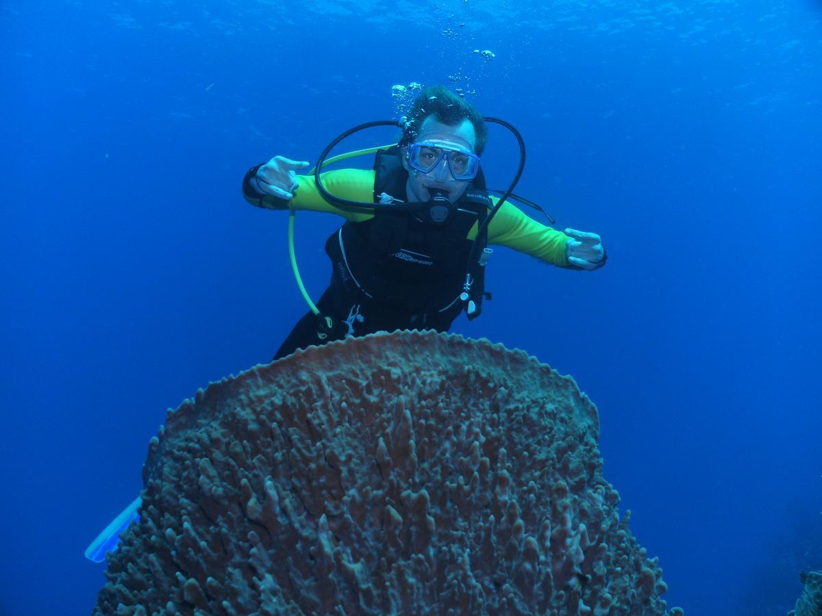 Seagrape Plantation Resort & Dive Center West End Buitenkant foto