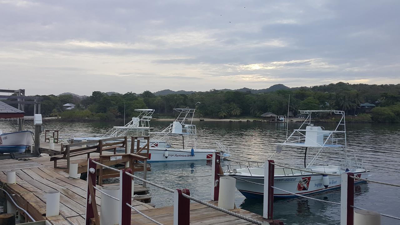 Seagrape Plantation Resort & Dive Center West End Buitenkant foto